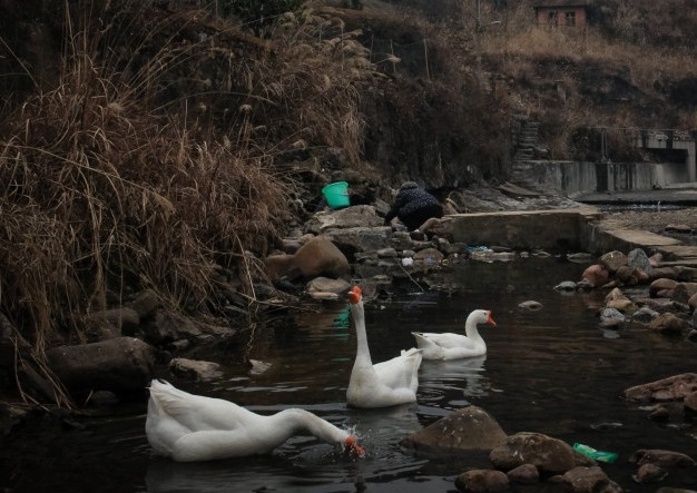 word湴ôȥ